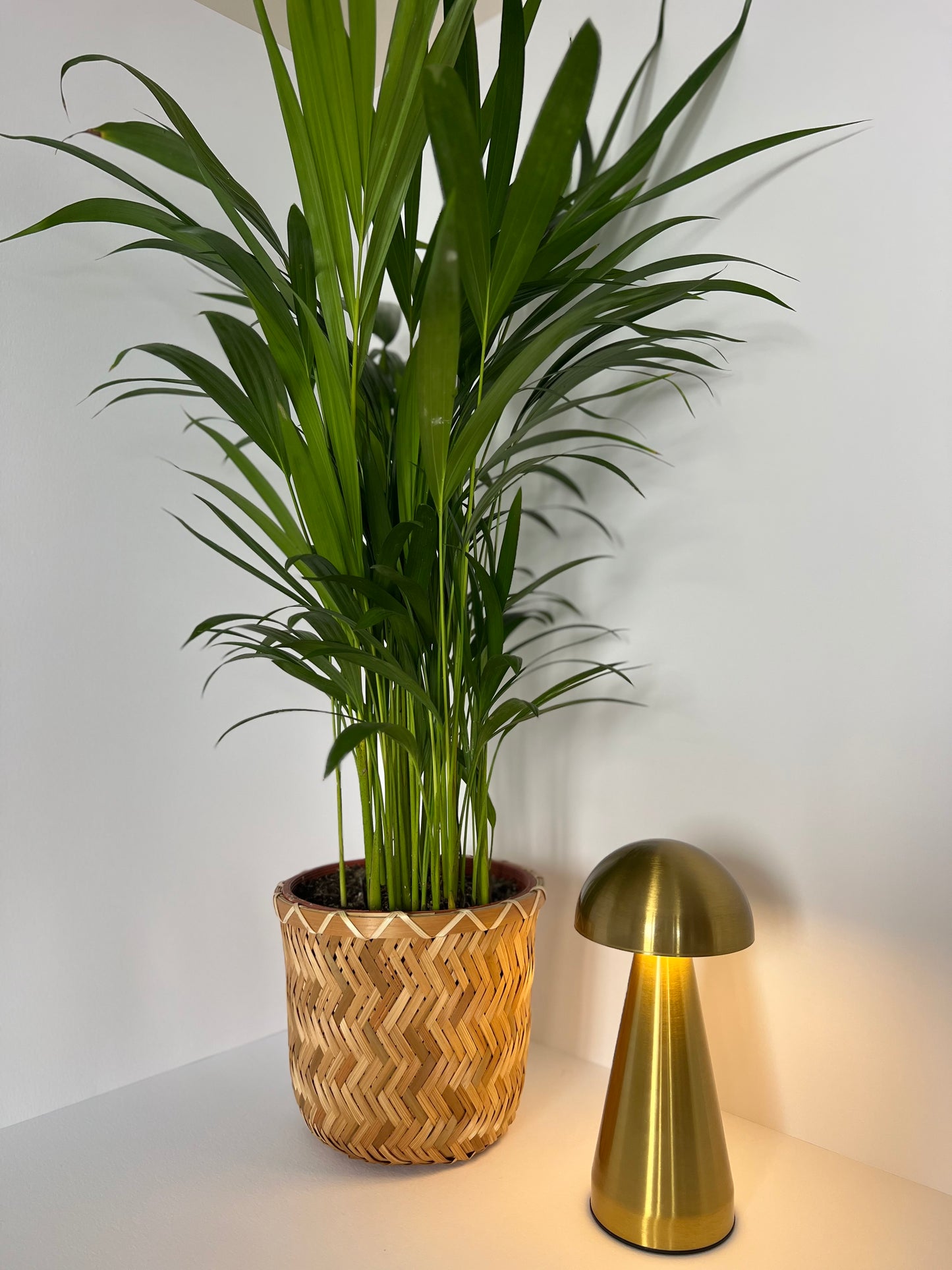 A Three-Color USB Decoration Lamp