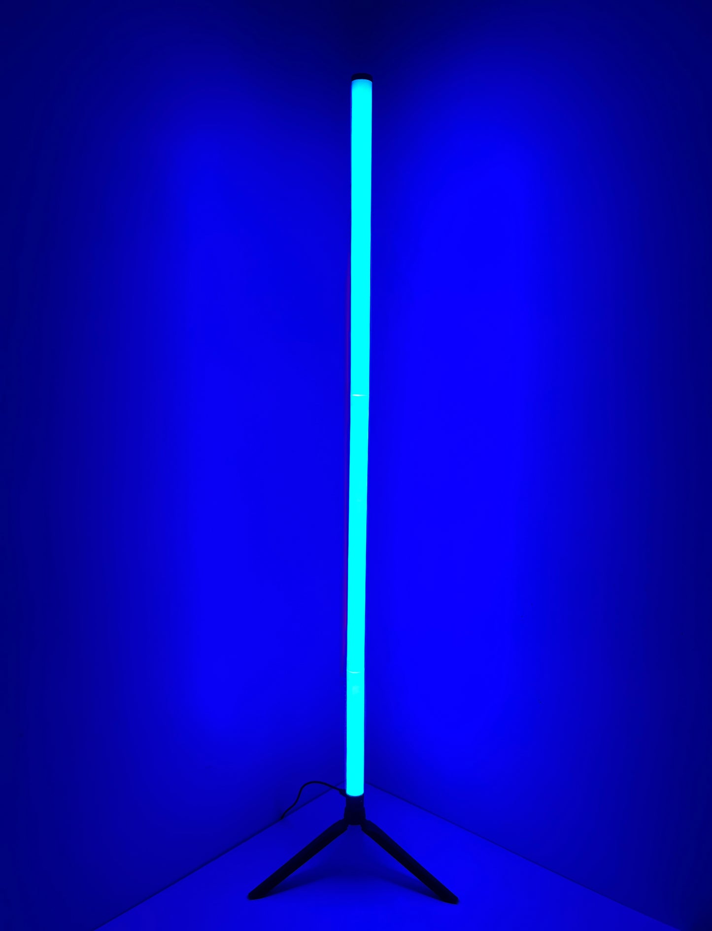 LED floor Lamp