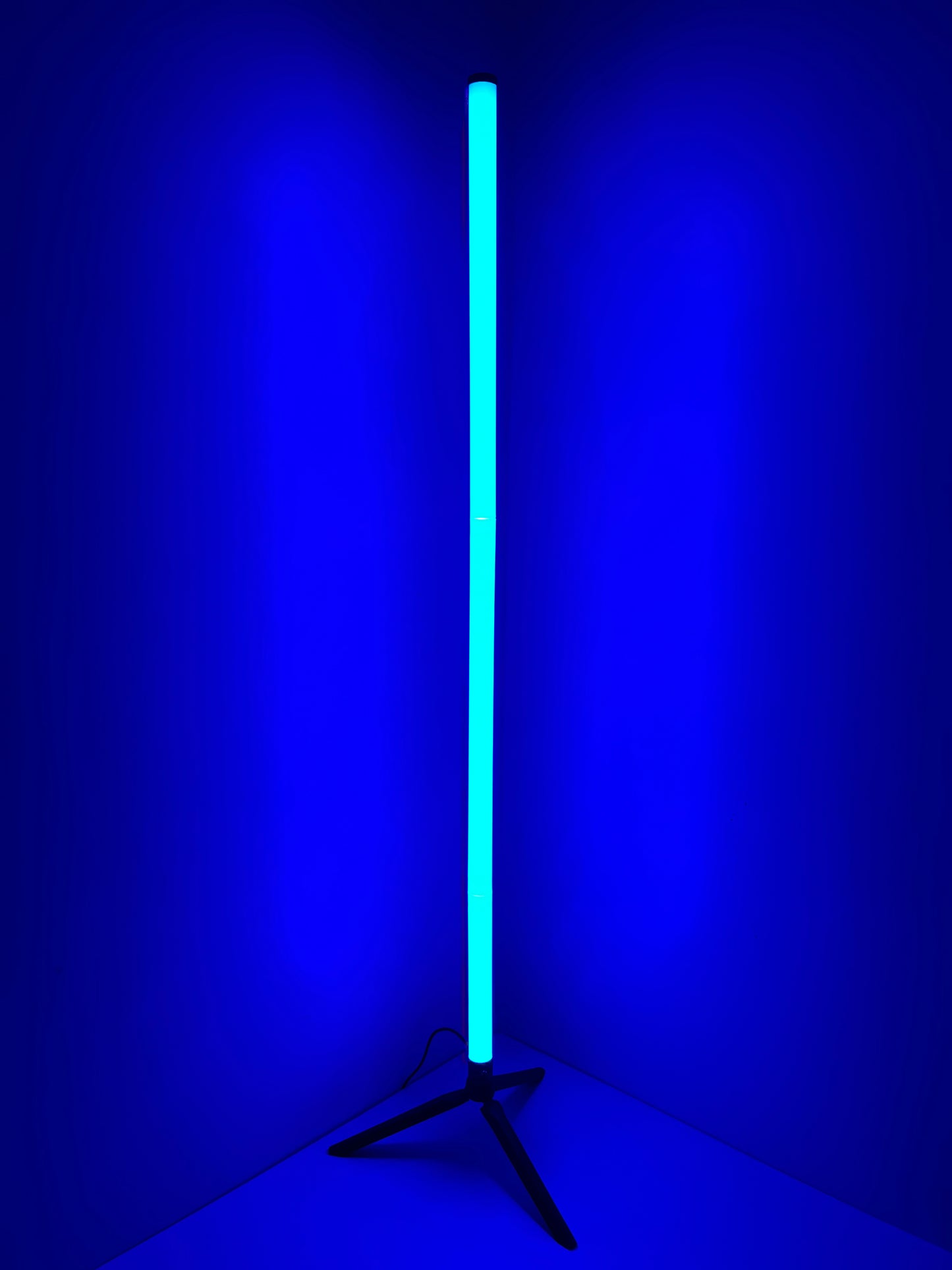 LED floor Lamp