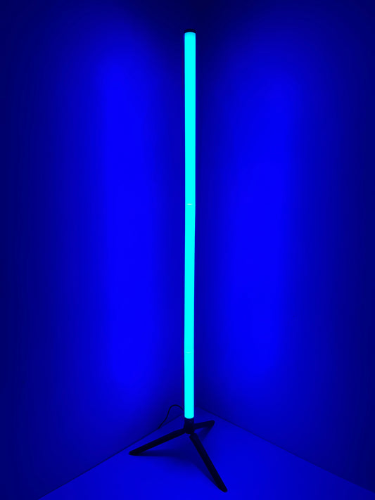 LED floor Lamp