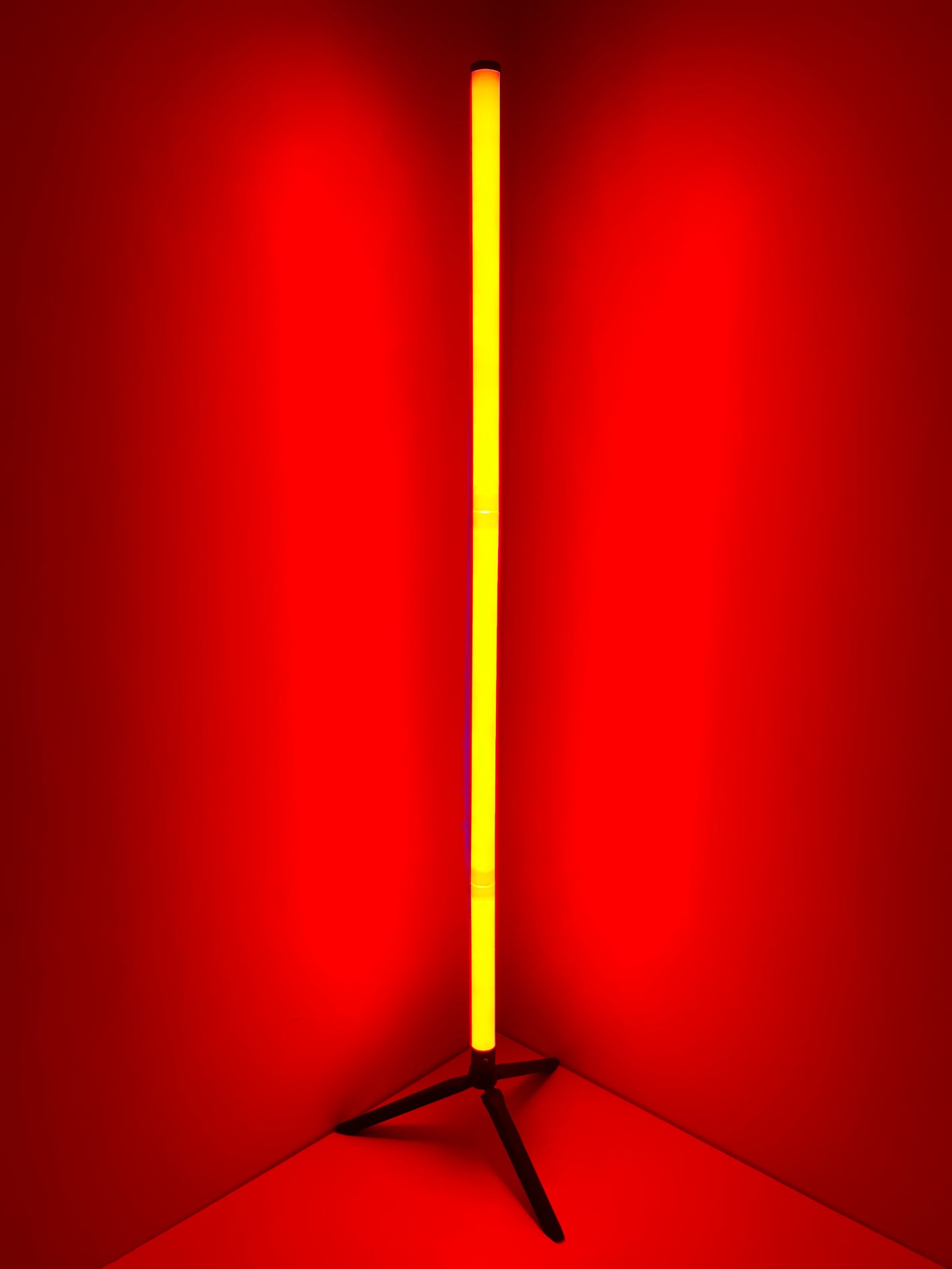 LED floor Lamp