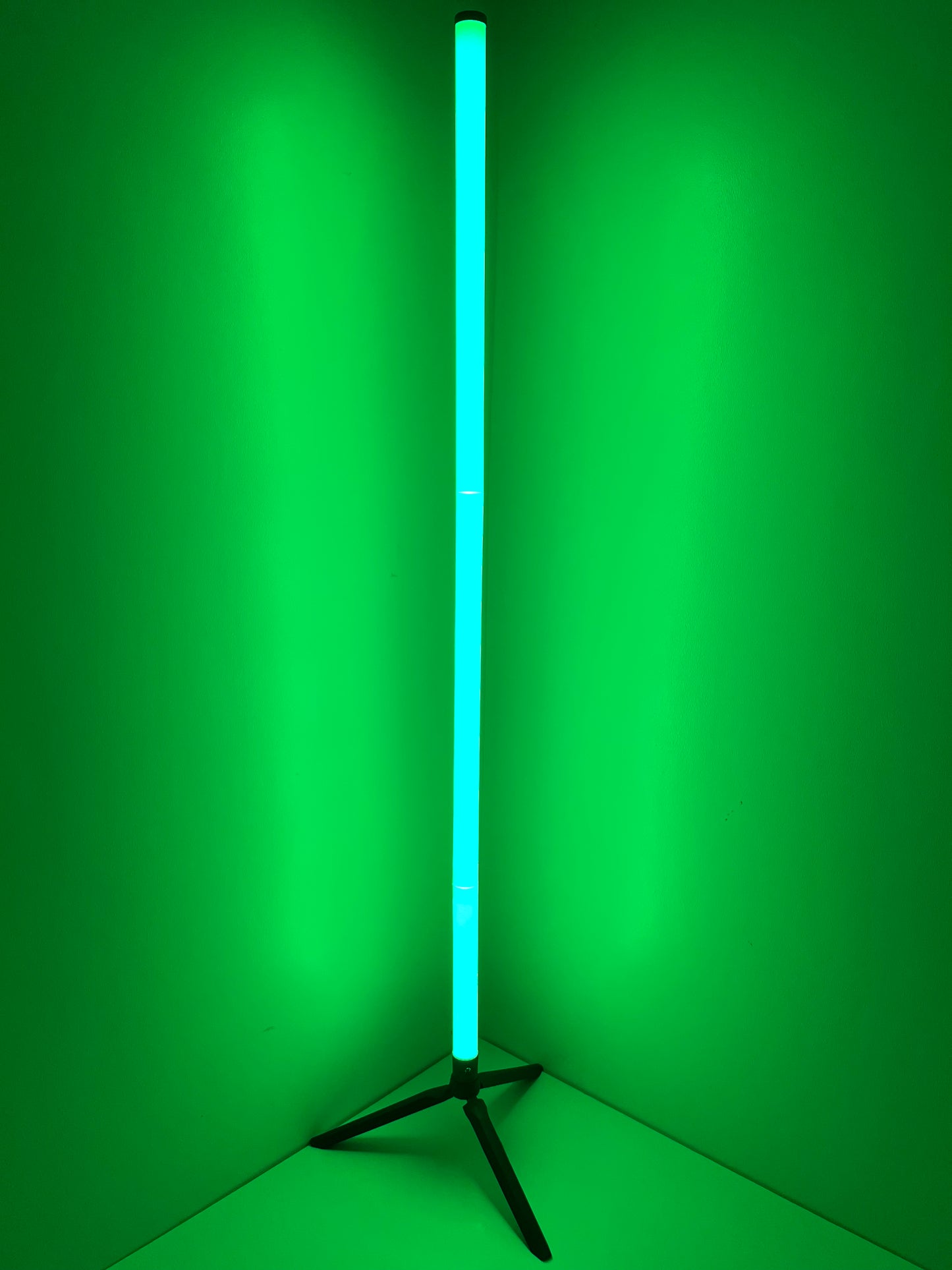 LED floor Lamp